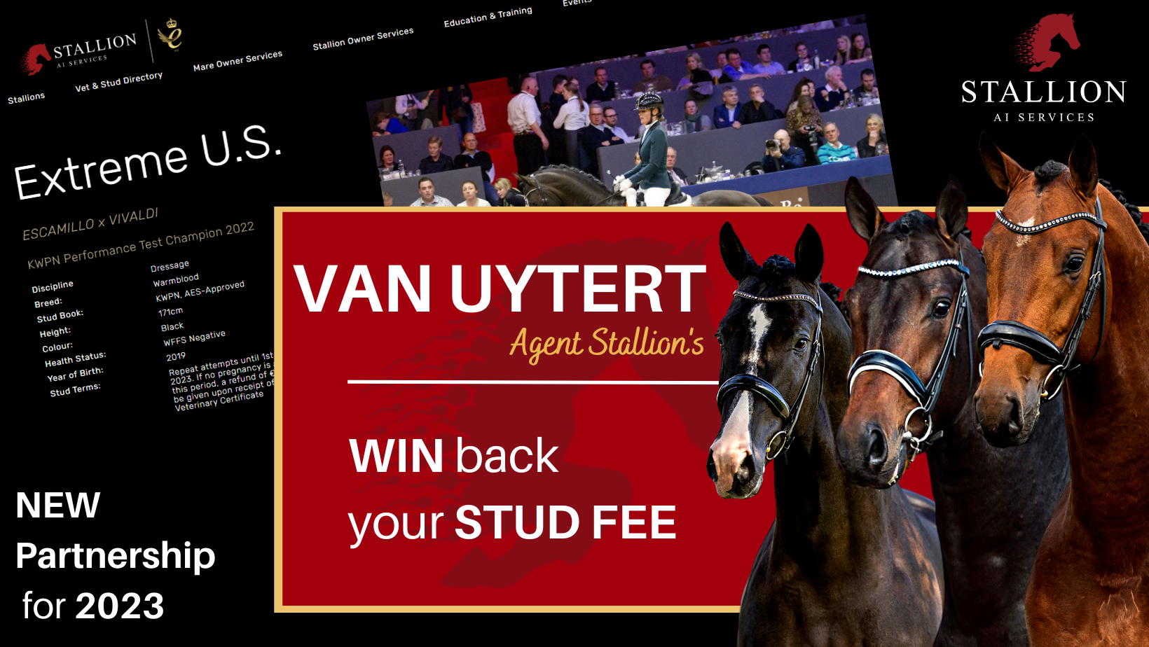 WIN BACK YOUR STUD FEE